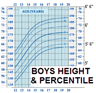 Adult Height Predictor - BoneXpert