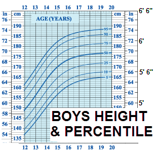 Baby Height Percentile Chart